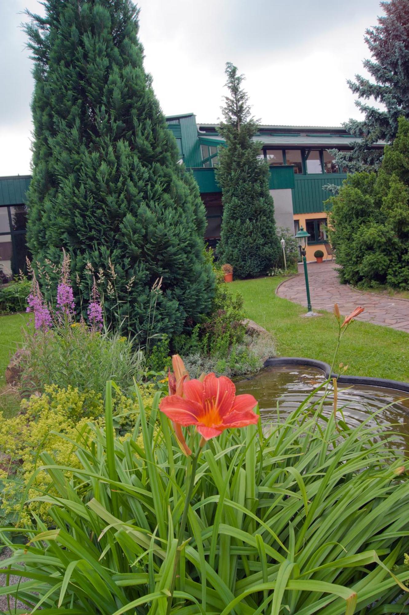 Landhotel Harz Thale Kültér fotó